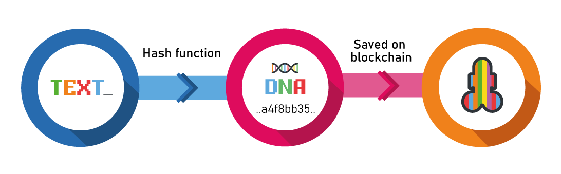 TEXT to DNA to DEEK